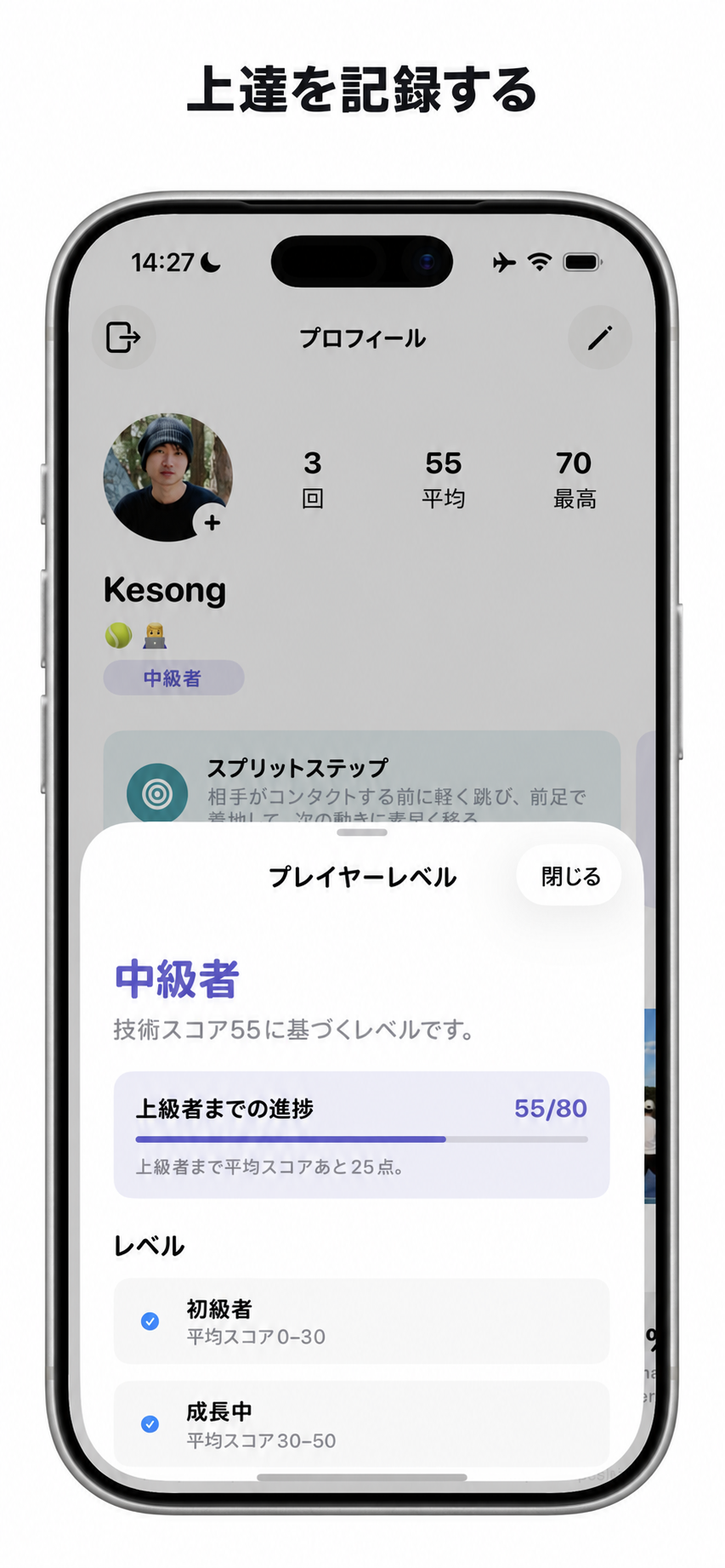 Cueのプレイヤーレベルと成長記録