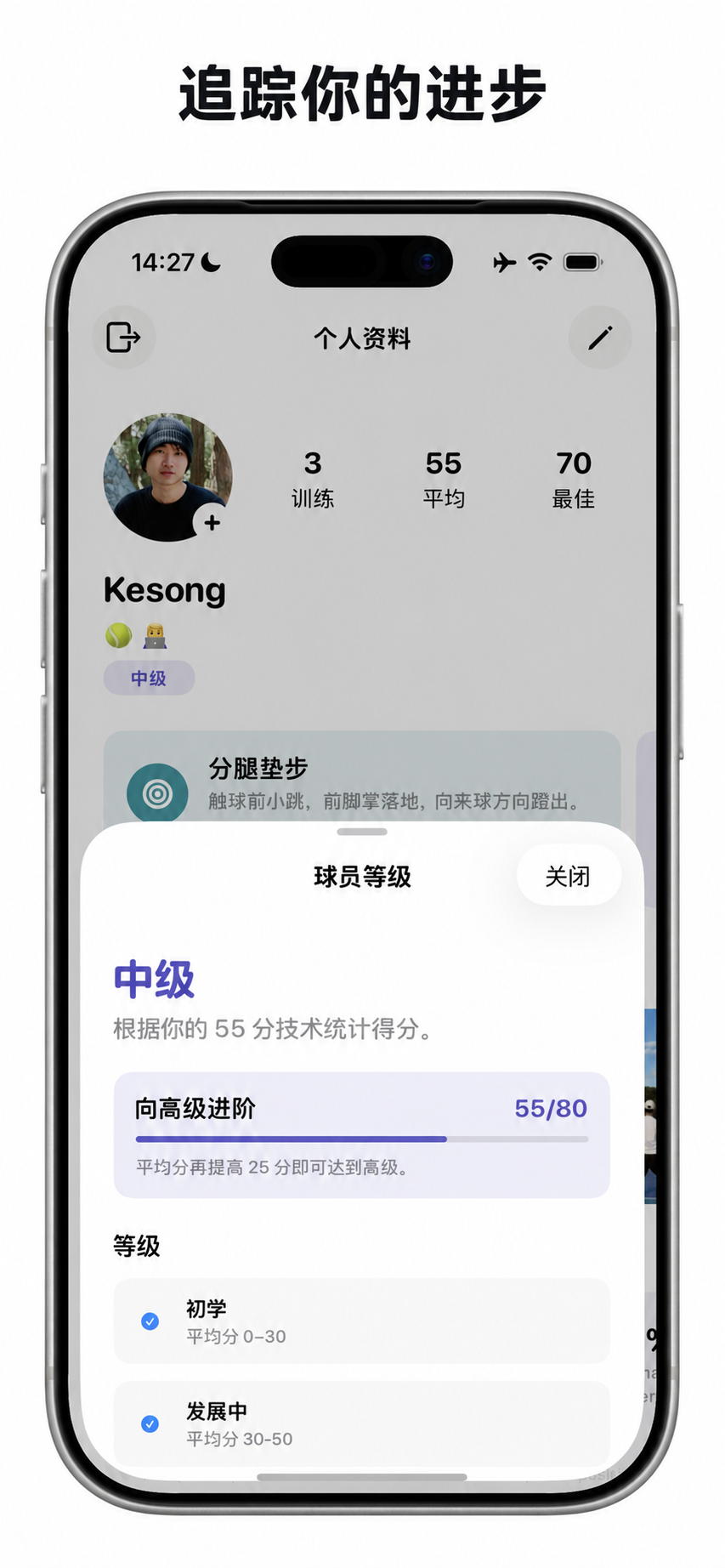 Cue 球员等级与进步记录